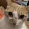 masonblevins_ - @masonblevins_ - TikTok