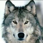 Mason blount - @mason_blount_63 - Instagram
