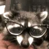 masonbonezz - @masonbonezz - TikTok