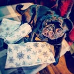 Mason Booth - @masonbooth42 - Instagram