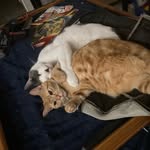 Hey - @mason.bouchard.77 - Instagram