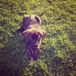 Mason Bouchard - @pomme_de_terre_47 - Instagram