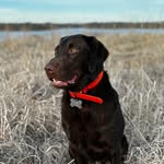 Mason Bowman - @mbowman01 - Instagram