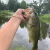 Mason bowman - @mason.bowman6424 - TikTok