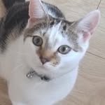Mason_branch - @mason_branch4979 - Instagram