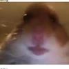 masonbrandt - @masonbrandt0 - TikTok