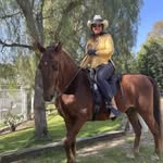 Patti Mason Brandt - @pmbincdm - Instagram