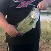 Mason Brock - @masonbrock2 - TikTok