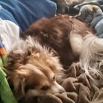 Mason Brogden - @mason_brogden_20 - Instagram