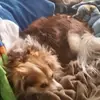 masonbrogden627 - @masonbrogden627 - TikTok