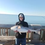 Mason Browning - @mason_browning120 - Instagram
