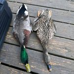 Mason Bryant - @masonbryant62 - Instagram
