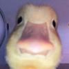 Mason Buchanan - @mason.buchanan - TikTok
