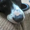 followforfollow46 - @masonburch53 - TikTok