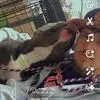 masoncabaniss - @mayymayyy238 - TikTok