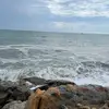 Mason Cai - @mason.cai3 - TikTok