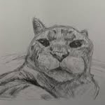 mason carver - @mcarver.art - Instagram