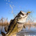 Mason Carver Fishing - @masoncarverfishing - Instagram