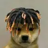 Mason Chadwick365 - @masonchadwick01 - TikTok