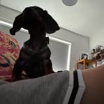 Mason Chadwick - Facebook