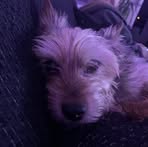 Mason Chamberlain - Facebook