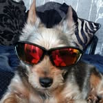 Mason Chamberlain - @mason.chamberlain.71 - Instagram