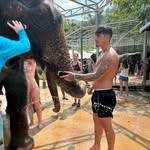 Mason Chamberlain - @mason.chamberlainn - Instagram