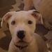 Mason Chambers - Facebook