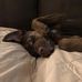 Mason Chambers - Facebook