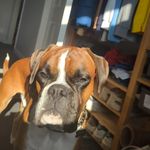 Mason Chambers-James - @masoncj0401 - Instagram