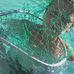 Mason Chamblee - Facebook