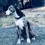 Mason - @mason_chaney - Instagram