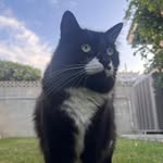 Mason Chang - @chang_masonn - Instagram