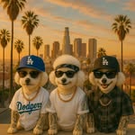 Mason Chang - @masonandmayo - Instagram