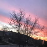 Mason Chavez - @masonchavez_ - Instagram