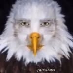 Mason Cheek - @cheek_mason - Instagram