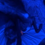 Mason Cheeks Schroeder - @mason.cheeks.1 - Instagram