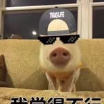 Mason  Cheng - @masonchengzzz - Instagram