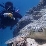 Mason Cheng - @mason.cheng.88 - Instagram