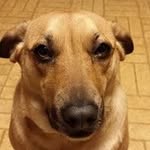 Mason Clements - @mclements2002 - Instagram