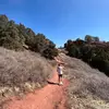 Mason Collier - @masoncollier7 - TikTok