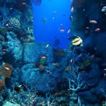 MASON COLVIN - @mlc0223 - Instagram