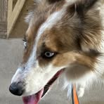 Mason Comstock - Facebook