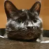 Mason Corbett - @mason.corbett26 - TikTok
