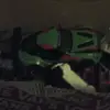 mason_cordero07 - @mason_cordero07 - TikTok