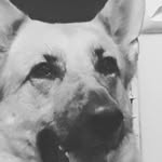 mason - @masoncrick2008 - Instagram