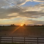 Masoncrick - @masoncr2010 - Instagram