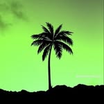 Mason cross - @mason.cross10 - Instagram