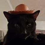 Mason Daniel - @masondanie1 - Instagram