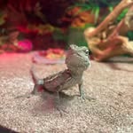 Mason Davidson - @mason.isbored277 - Instagram